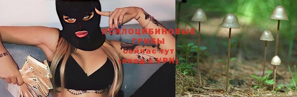 a pvp Каменка